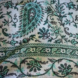 My green paisley shawl